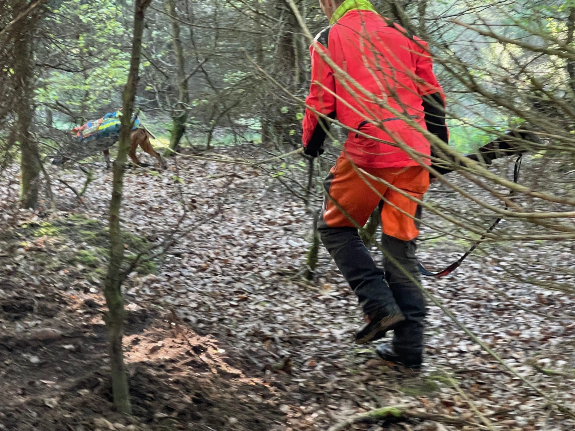 Working Dogs on Scent & Track 3.jpg