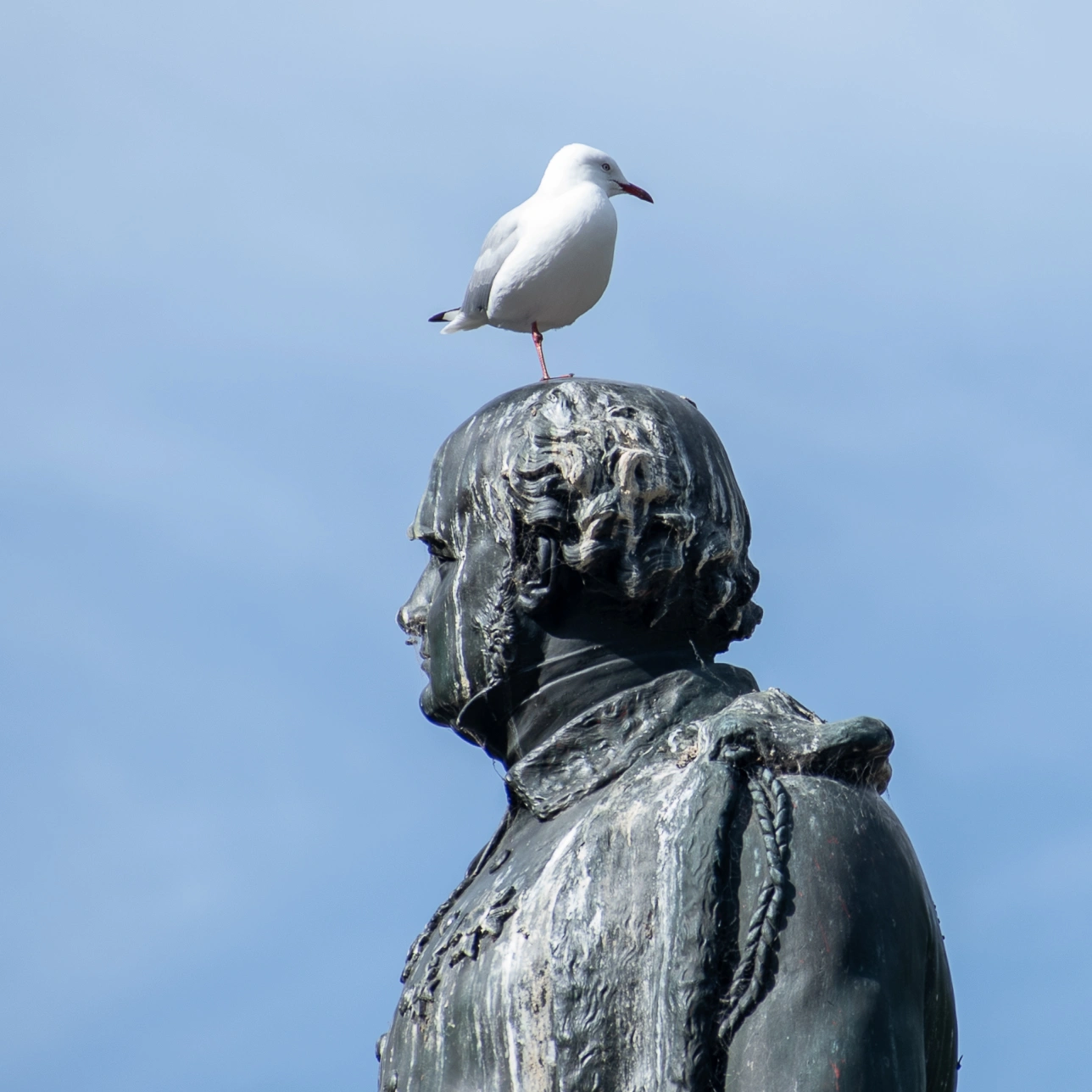 Hobart & Mt Wellington Fri-125.jpg