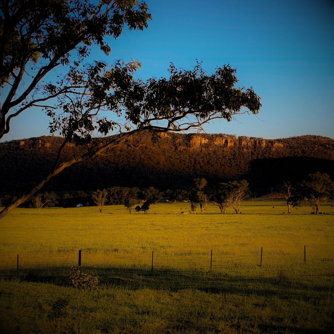 Untitled (Logo) (2).jpg