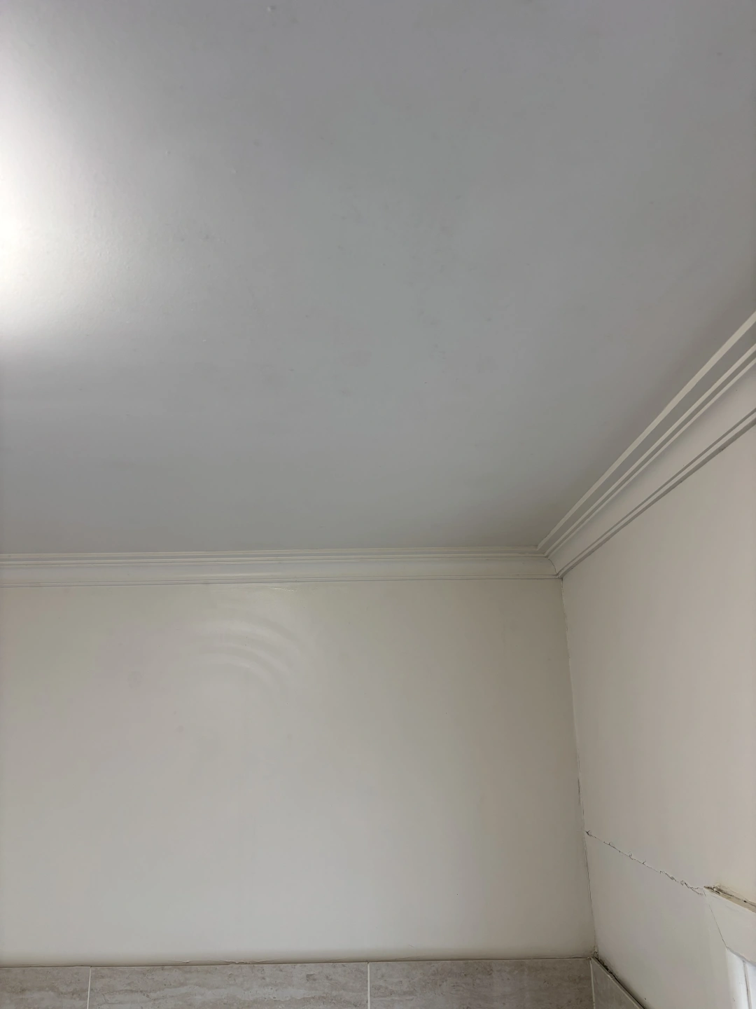 IMG_1649.jpeg