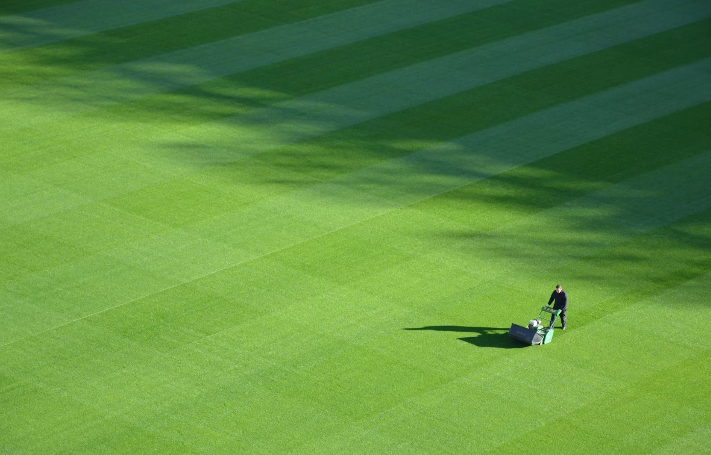 Lawnquest vertimowing Mandurah.png