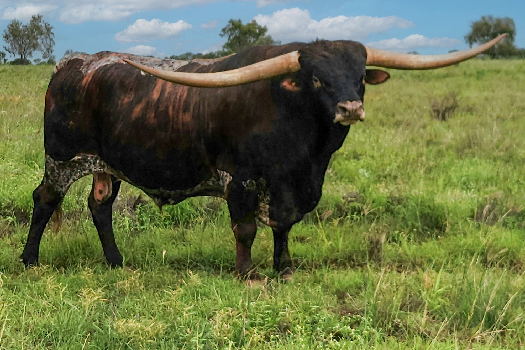 Yellowstone 26-1-26 (4).jpg