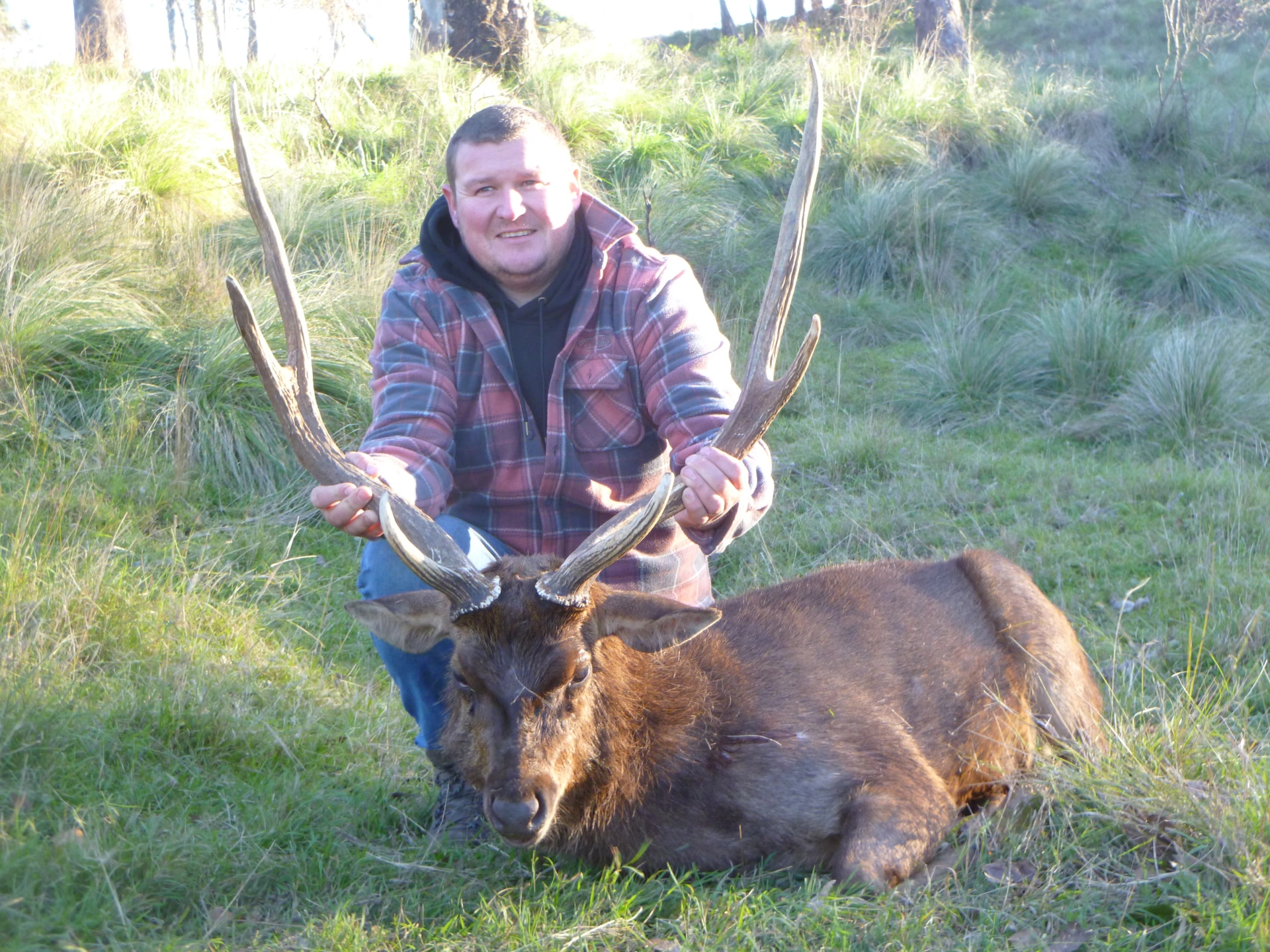 Rusa Hunt 1.jpeg