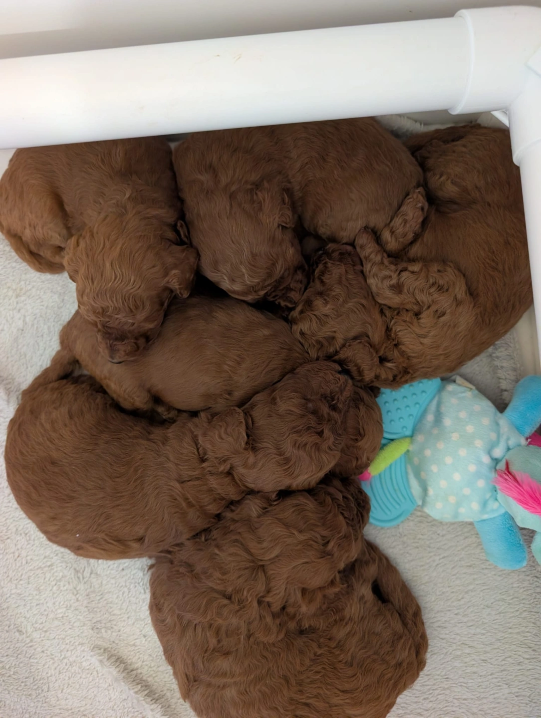 3 weeks - March 12 - 2.jpeg