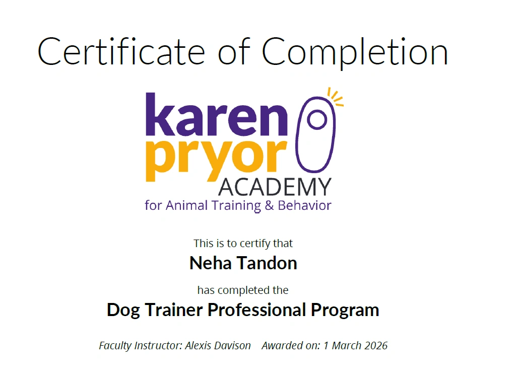 KPA Certificate.png