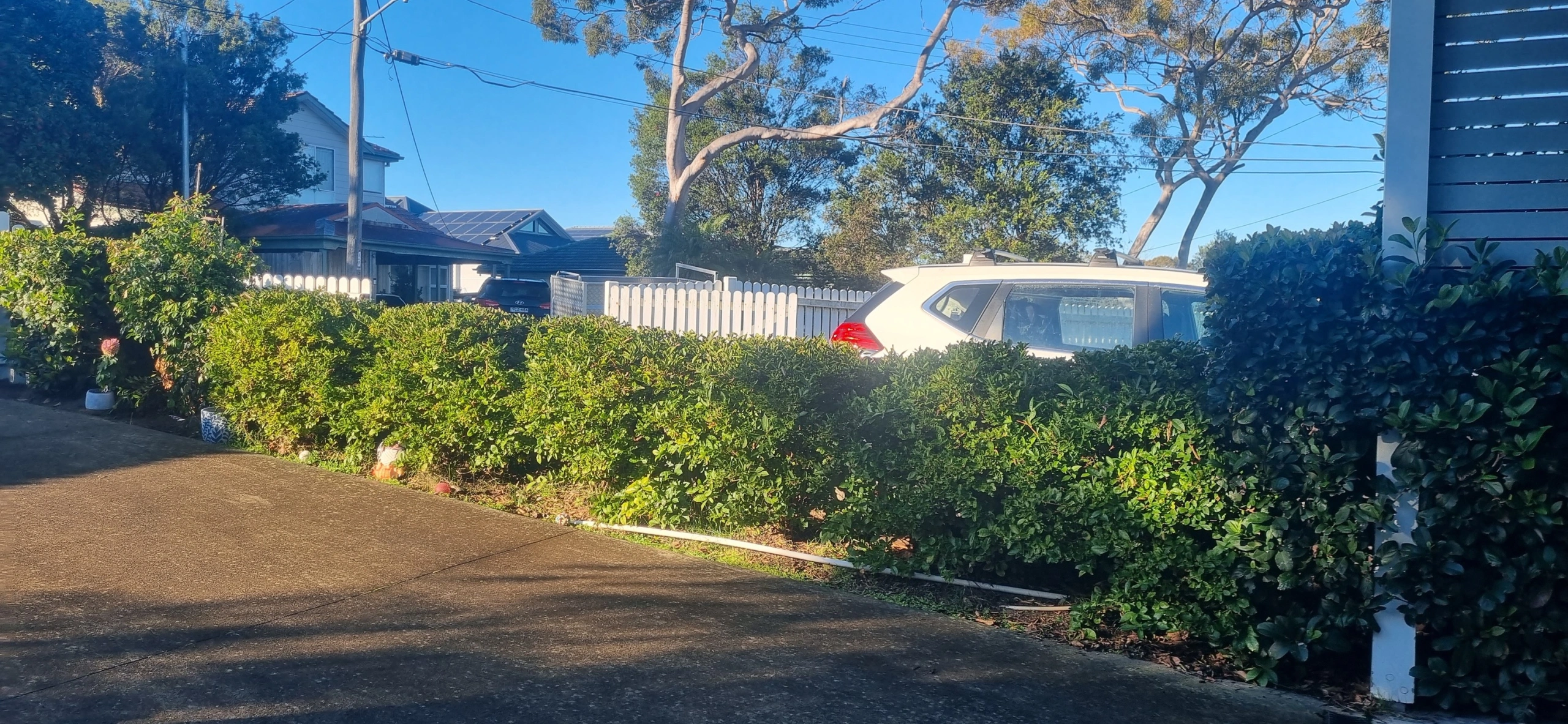 530621556_122094333284985110_1870991702169890669_n (1).jpg