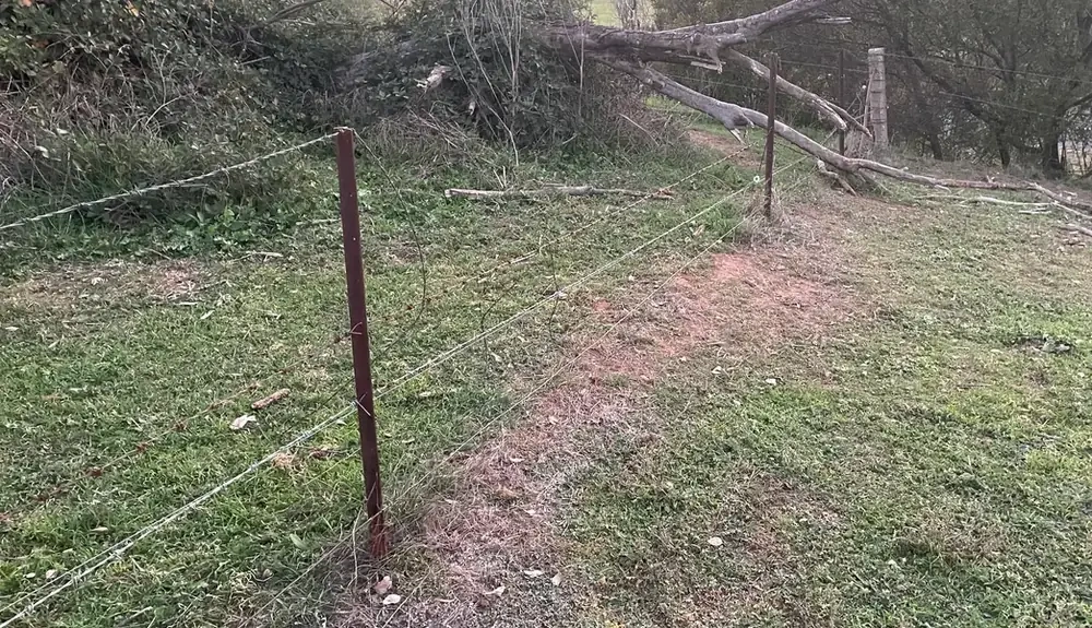 broken fence_.webp