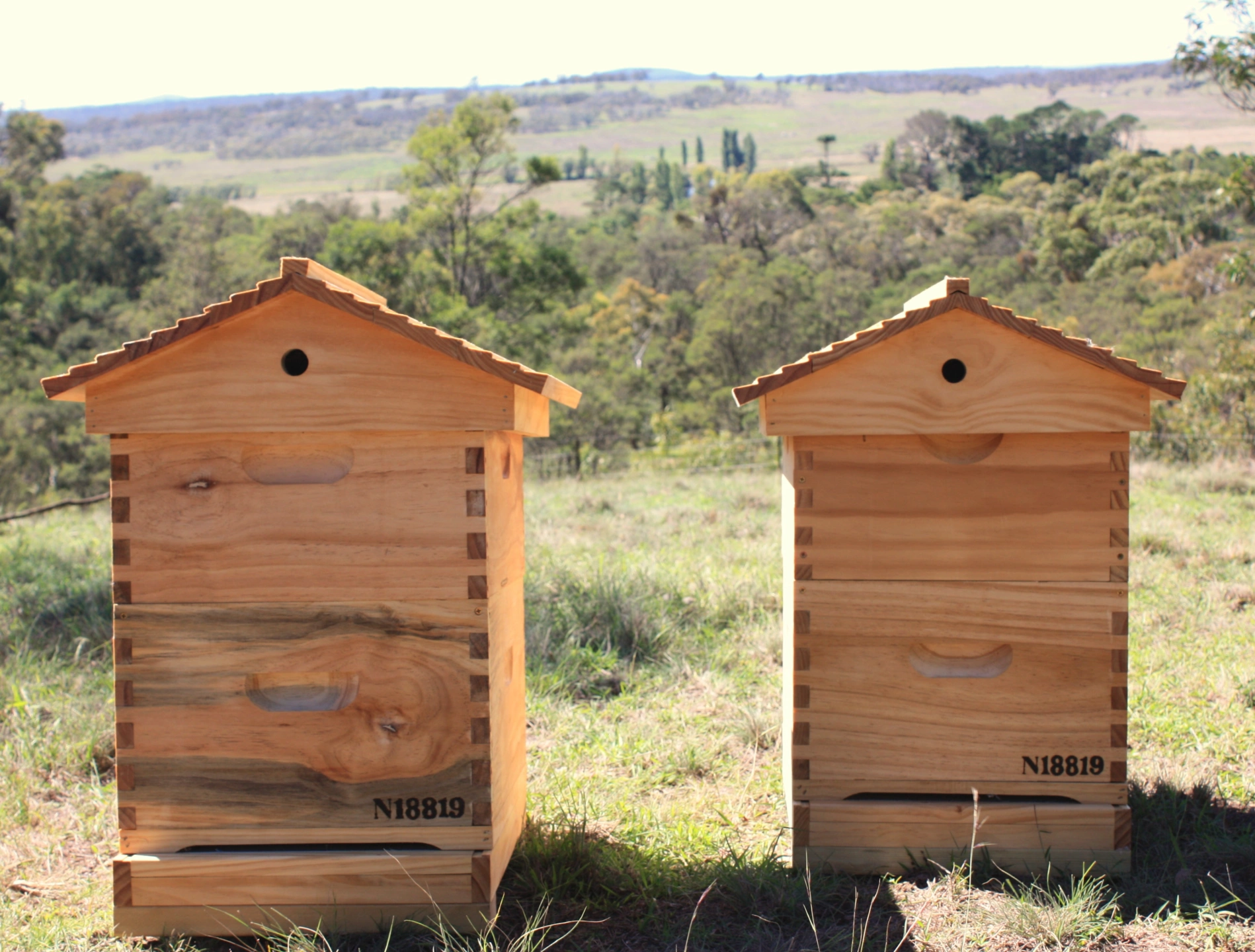 landscape river hive.JPG