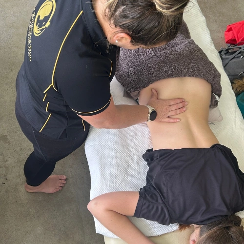 the balanced duo rider treatment.png