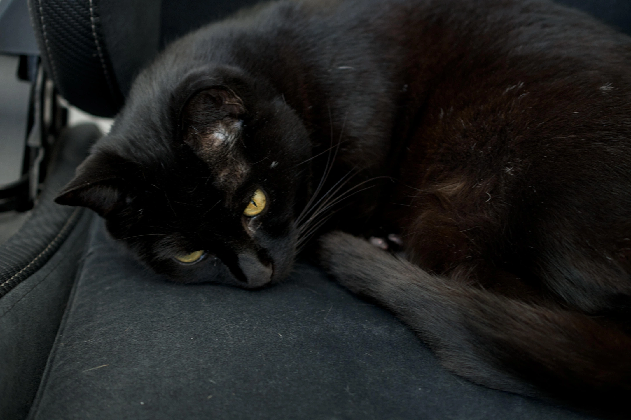 salem-3.jpg