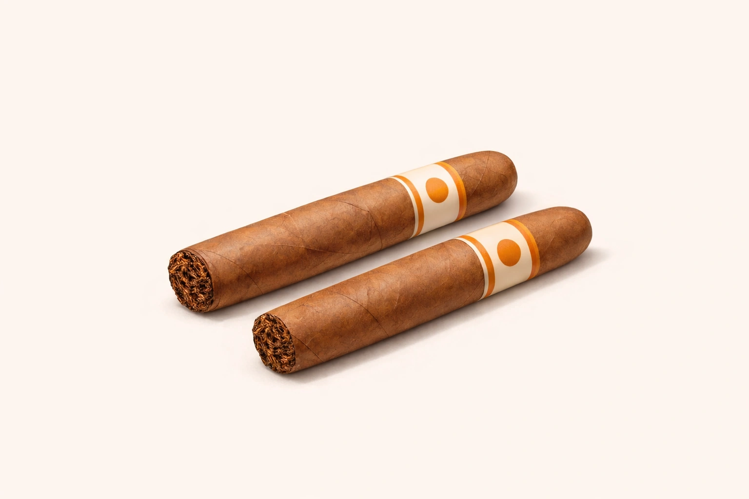 ChatGPT Image Dec 23, 2025, 08_16_15 PM.png