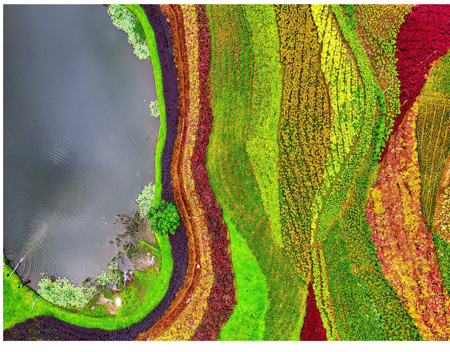 Pexels_drone_Image.jpg
