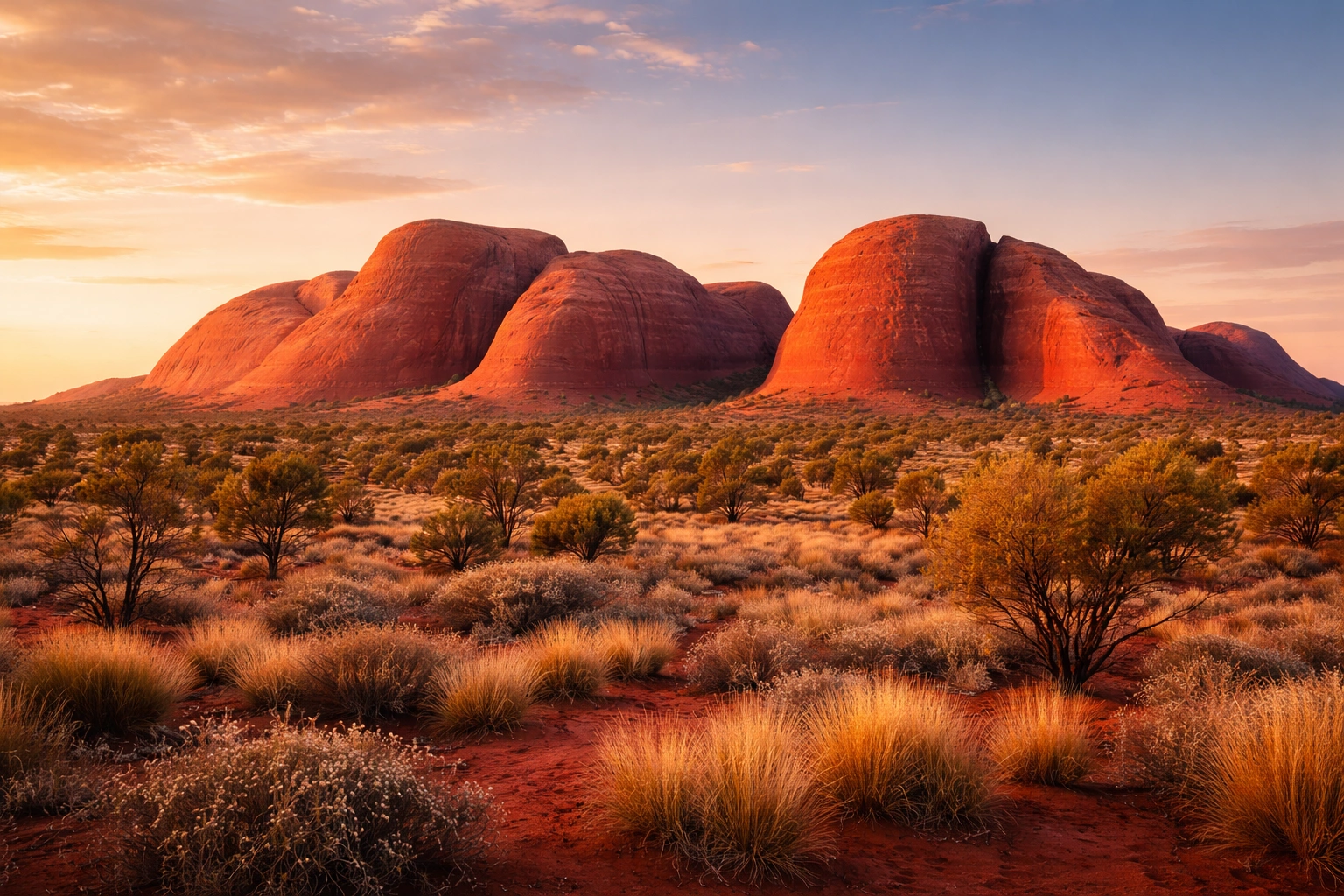 ChatGPT Image Feb 8, 2026, 08_18_35 AM.png