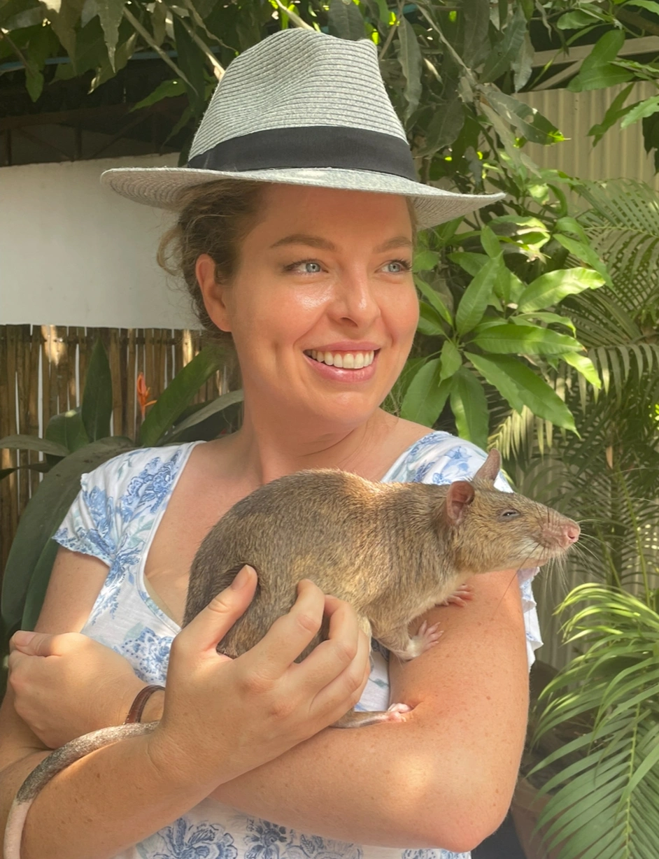 View recent photos.jpeg