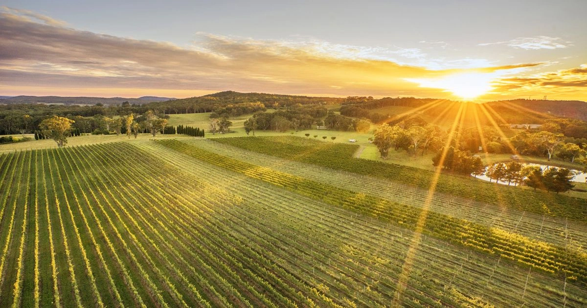Sunset in the Southern Highlands - Image Credit 164730 - DNSW.jpg
