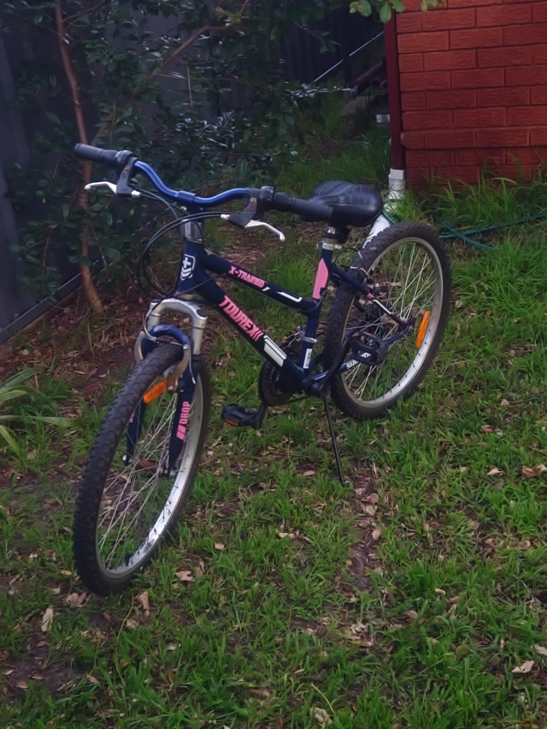 Repaired Bike.jpeg