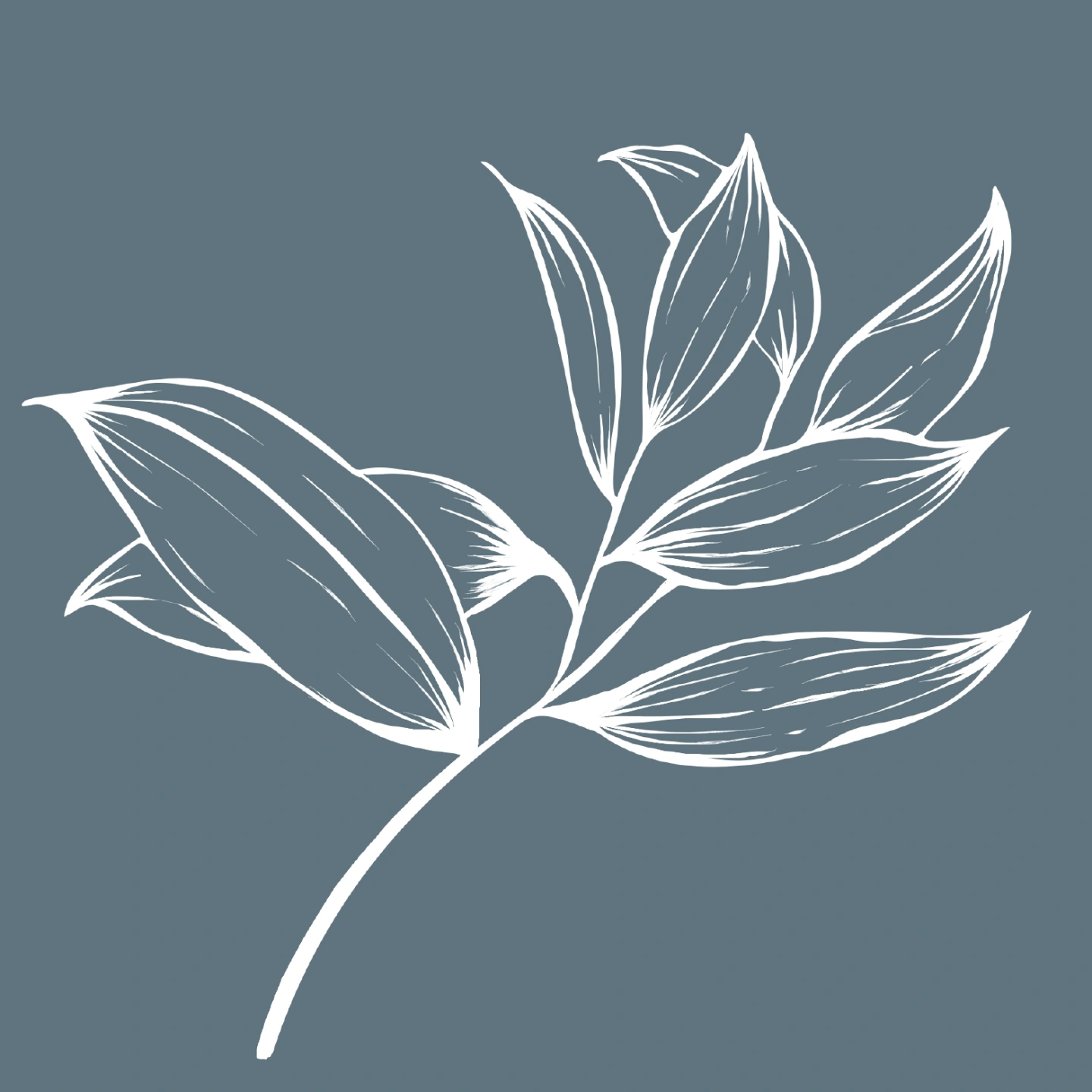 LEAF ICON #617177.jpg