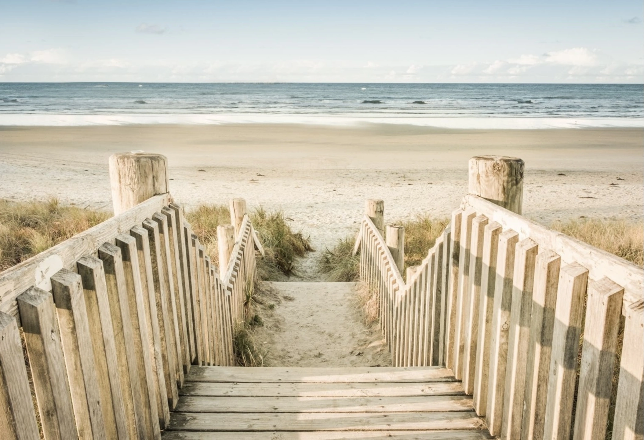 beach.jpeg