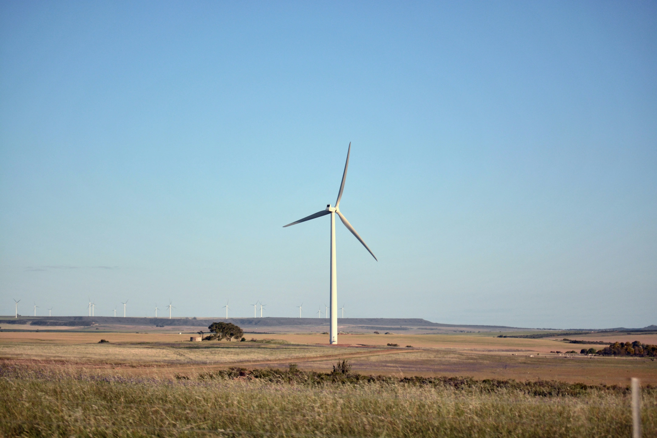 windmill.jpg