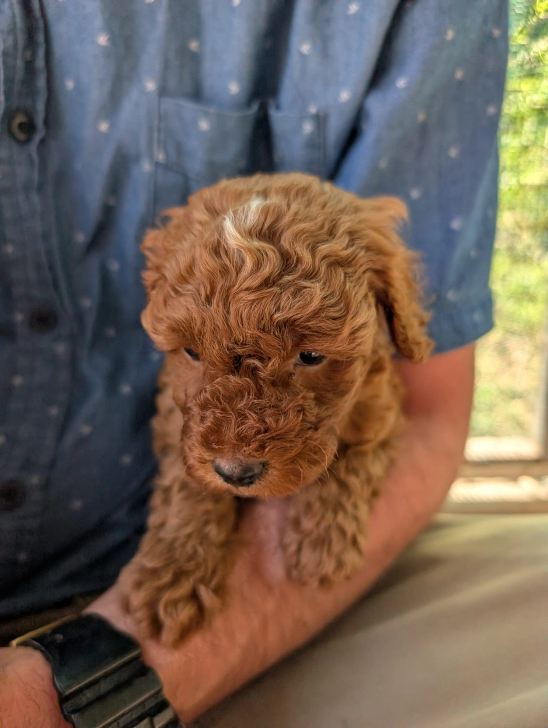 4 weeks - March 23 - 3.jpeg