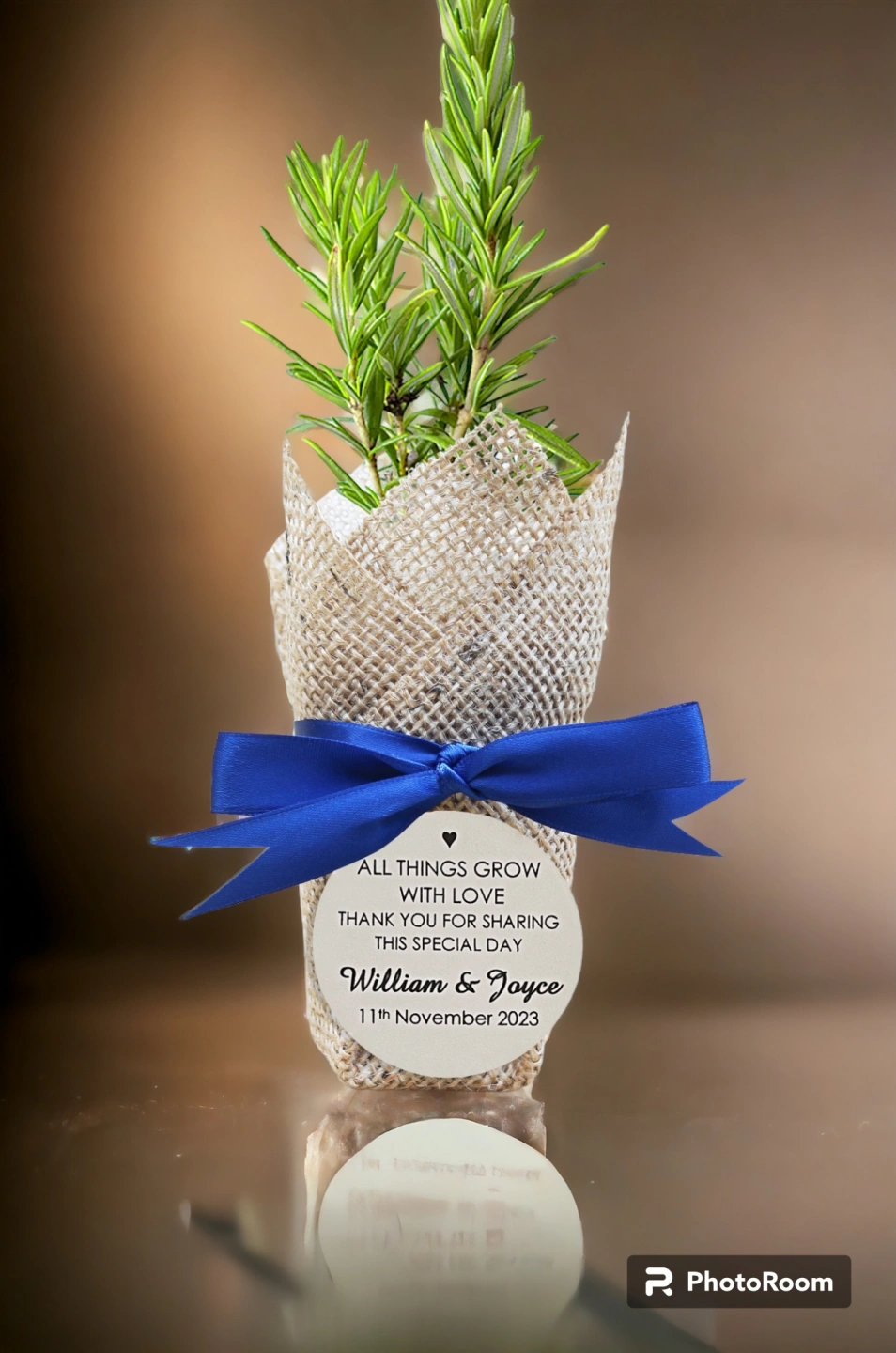 Small plant - Final Natural - Navy Blue Ribbon-Photoroom-3.jpg