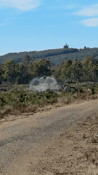 Adobe Express - 90D29299-2D14-48AB-B93B-DF67D9DBF0BA.gif
