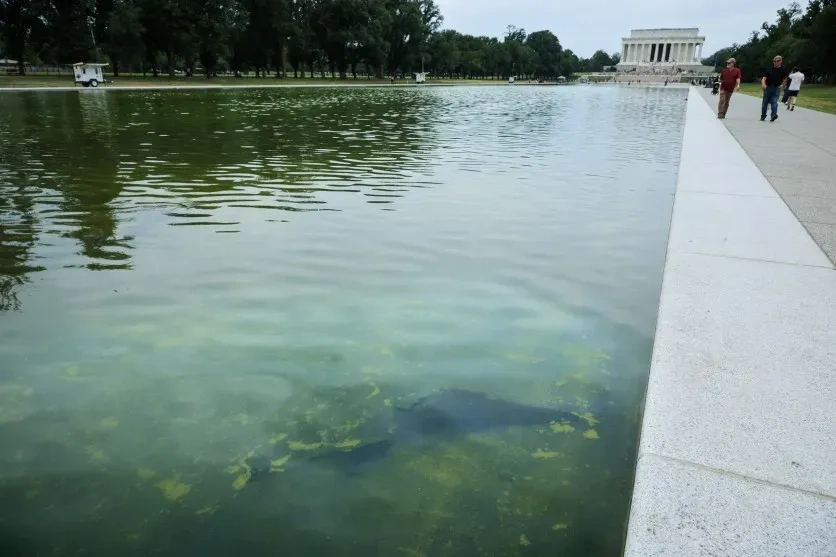 Reflecting Pool.webp
