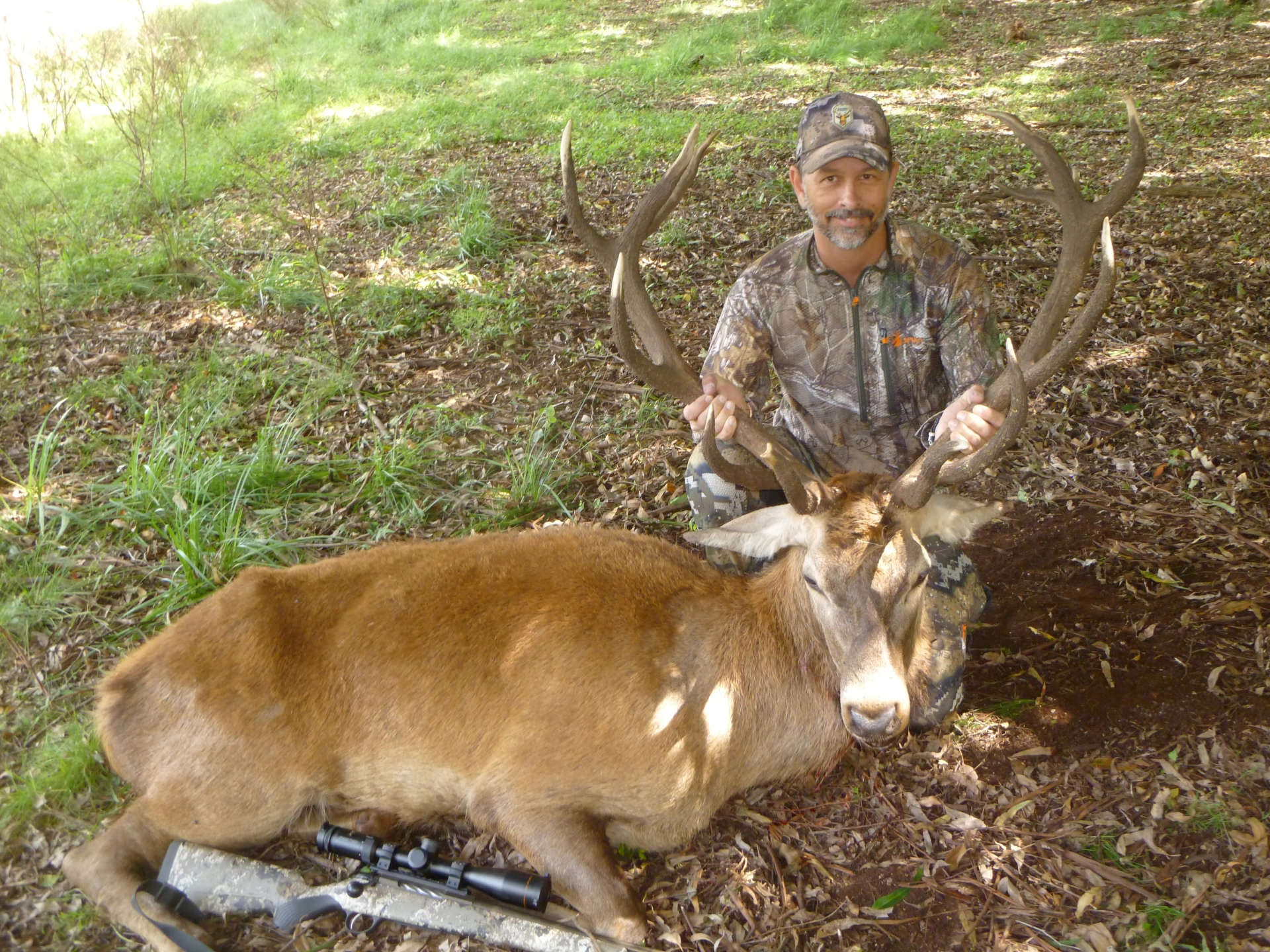 Red Deer Hunt 4.jpeg