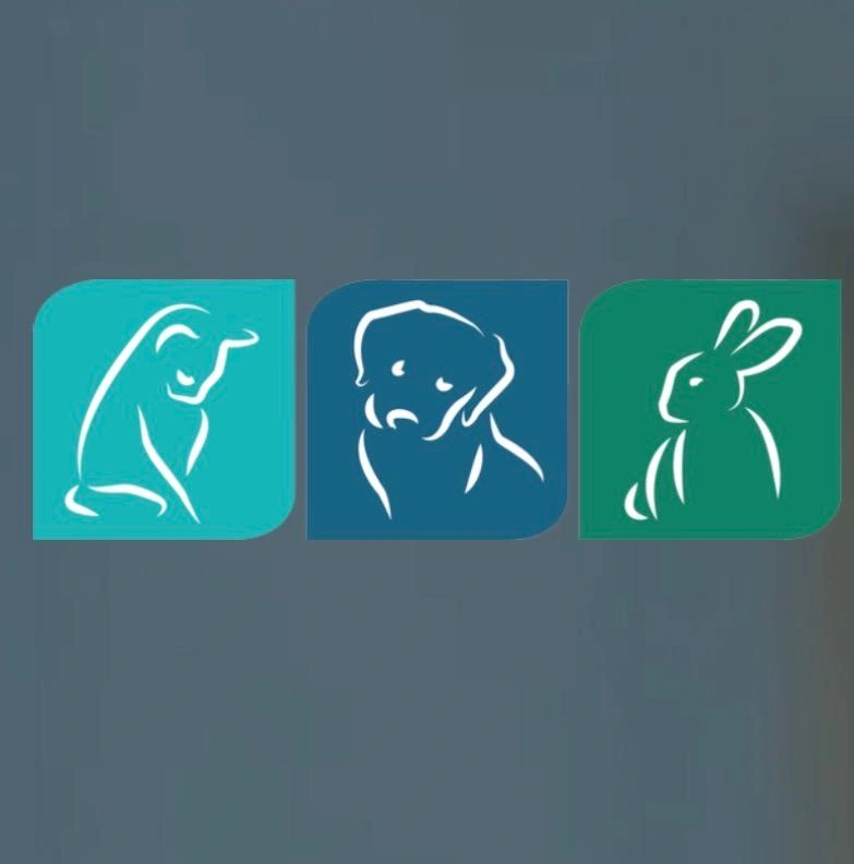 challenger.jpg