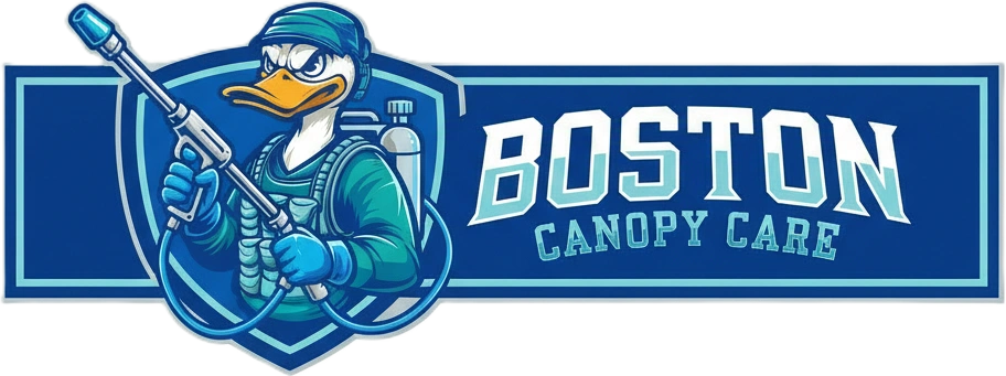 Boston Canopy Care