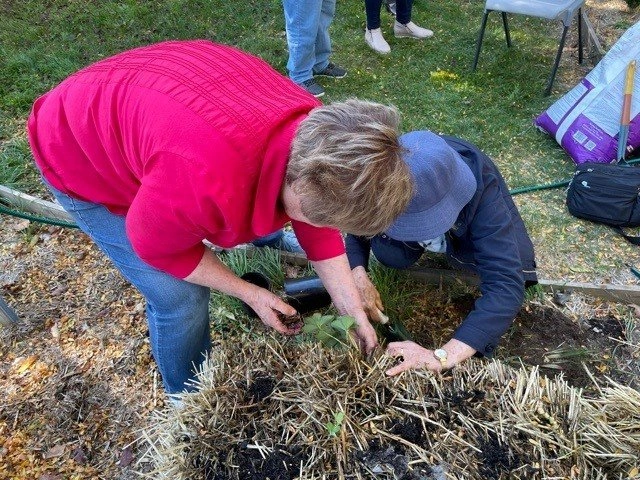 StrawBaleGarden3.jpg