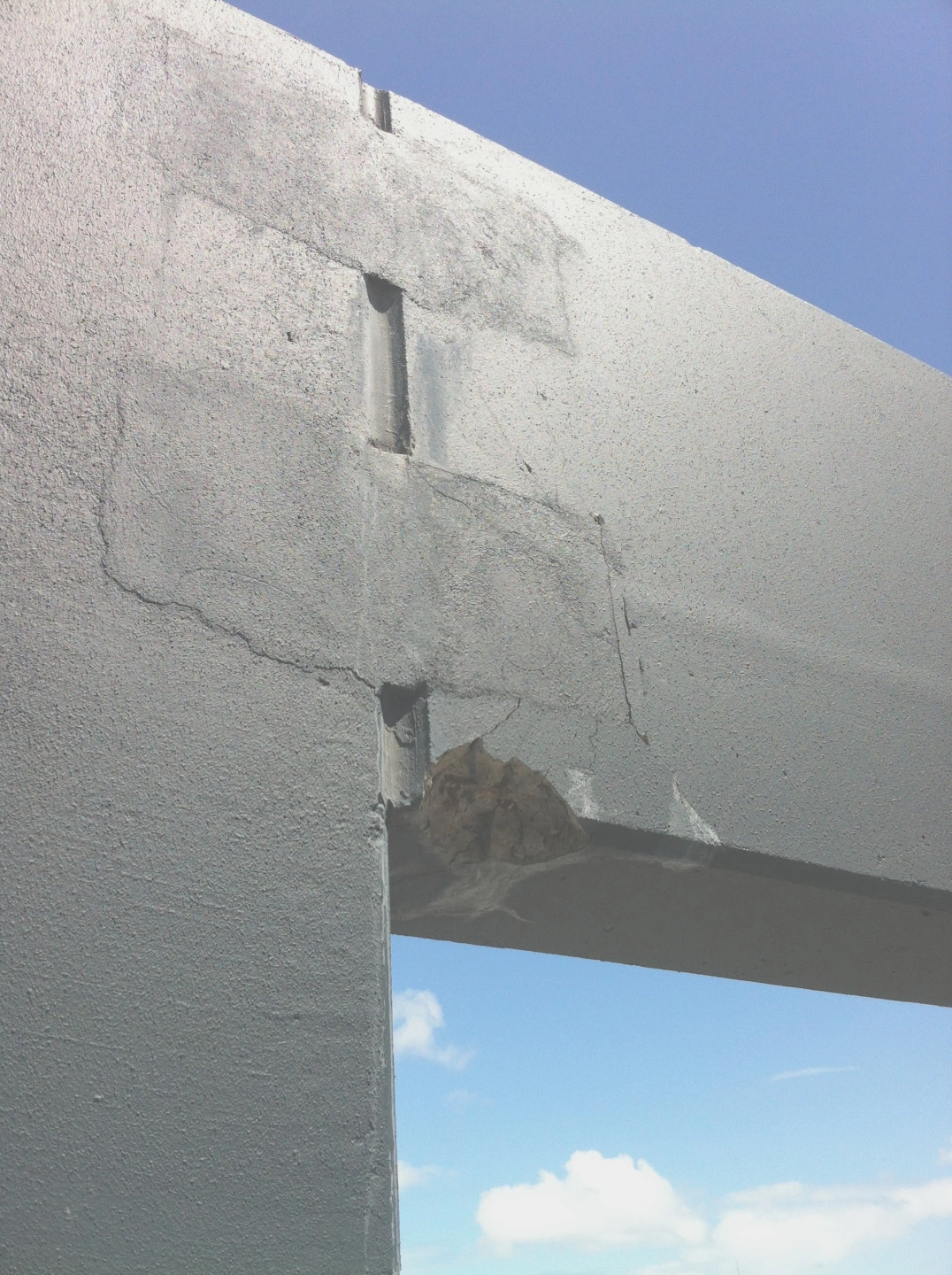 IMG_2424 (bright).jpg