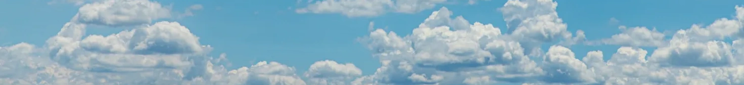 banner.png