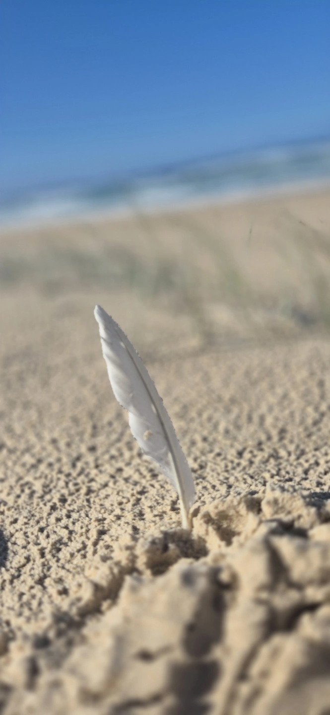 Feather Guidance Reconnection Gabrielle-hynes .jpg