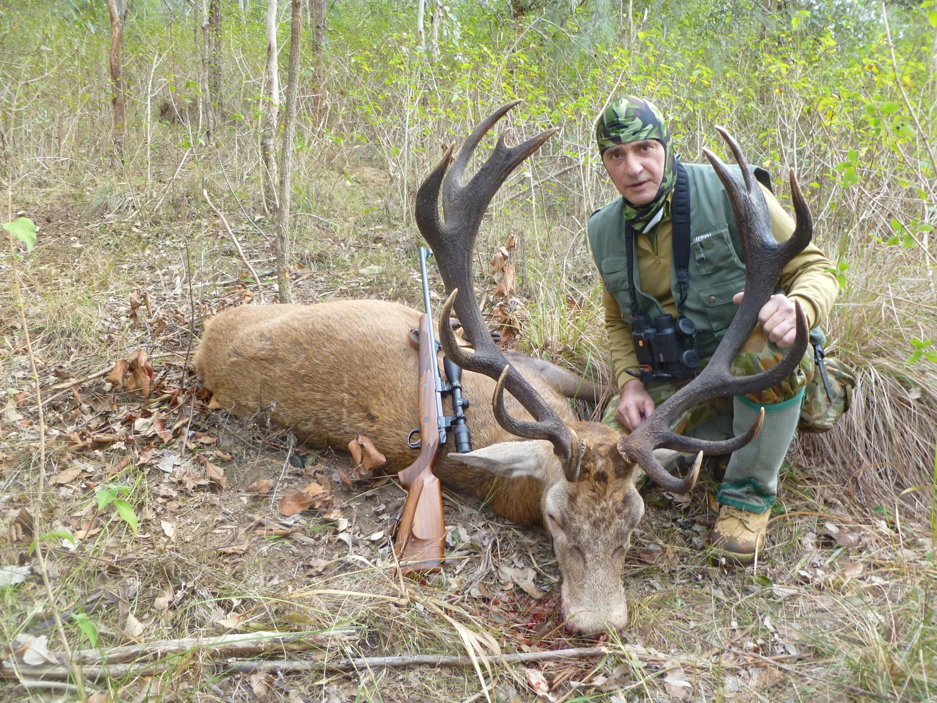 Red Deer Hunt 3.jpeg