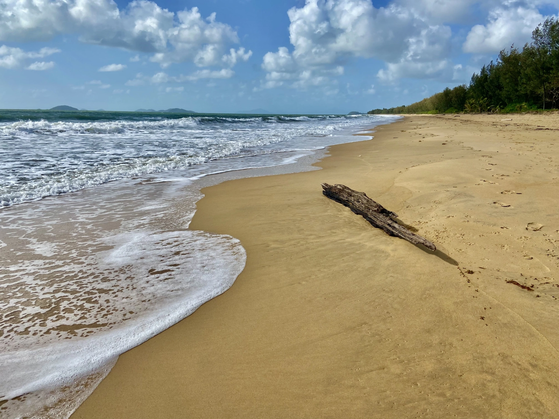 1.log on the sand.JPG