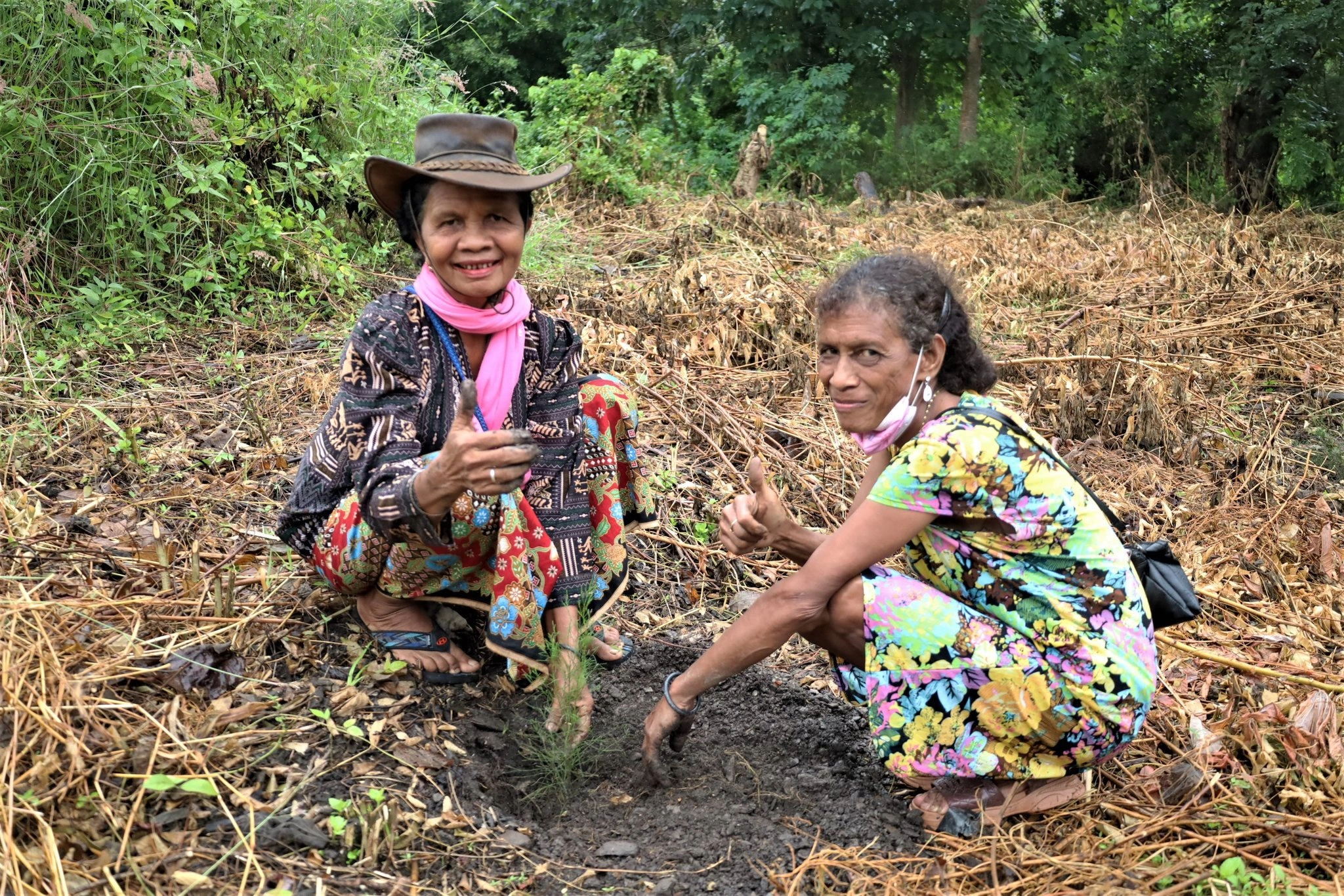 Liquica women with tree.jpeg