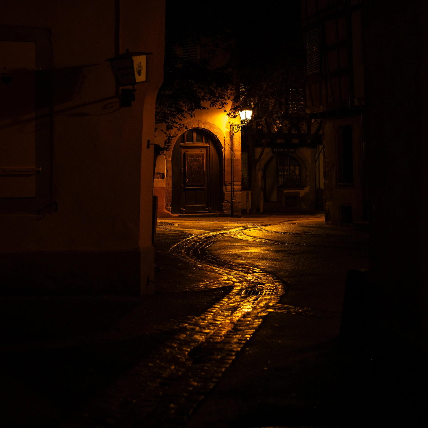 Colmar (256 of 1).jpg