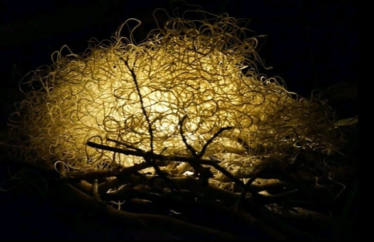 Solstice Workshop Image.JPG