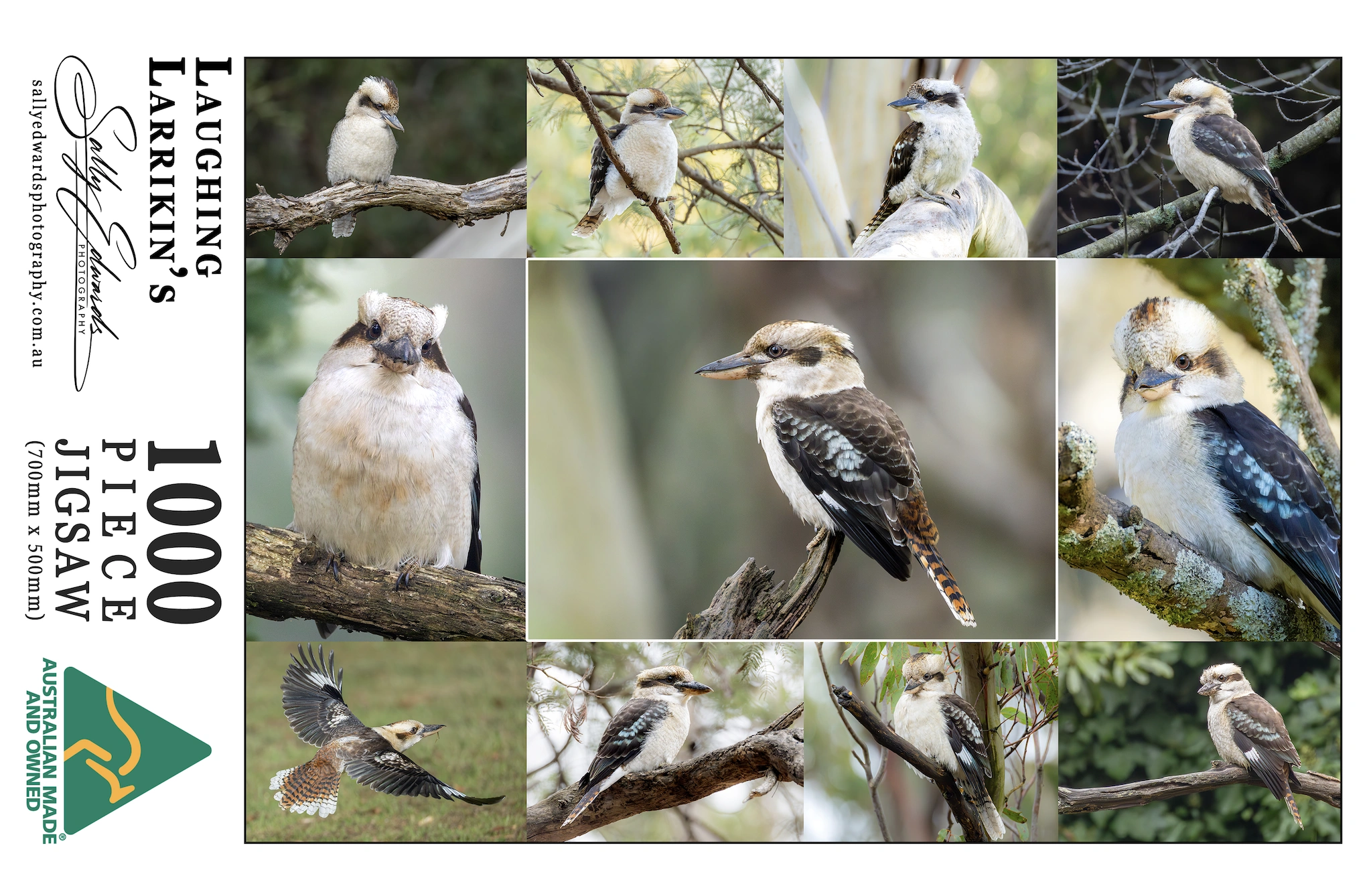 PuzzleBoxLabel - Laughing Larrikin.png