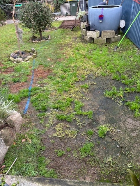 Garden start star.jpg