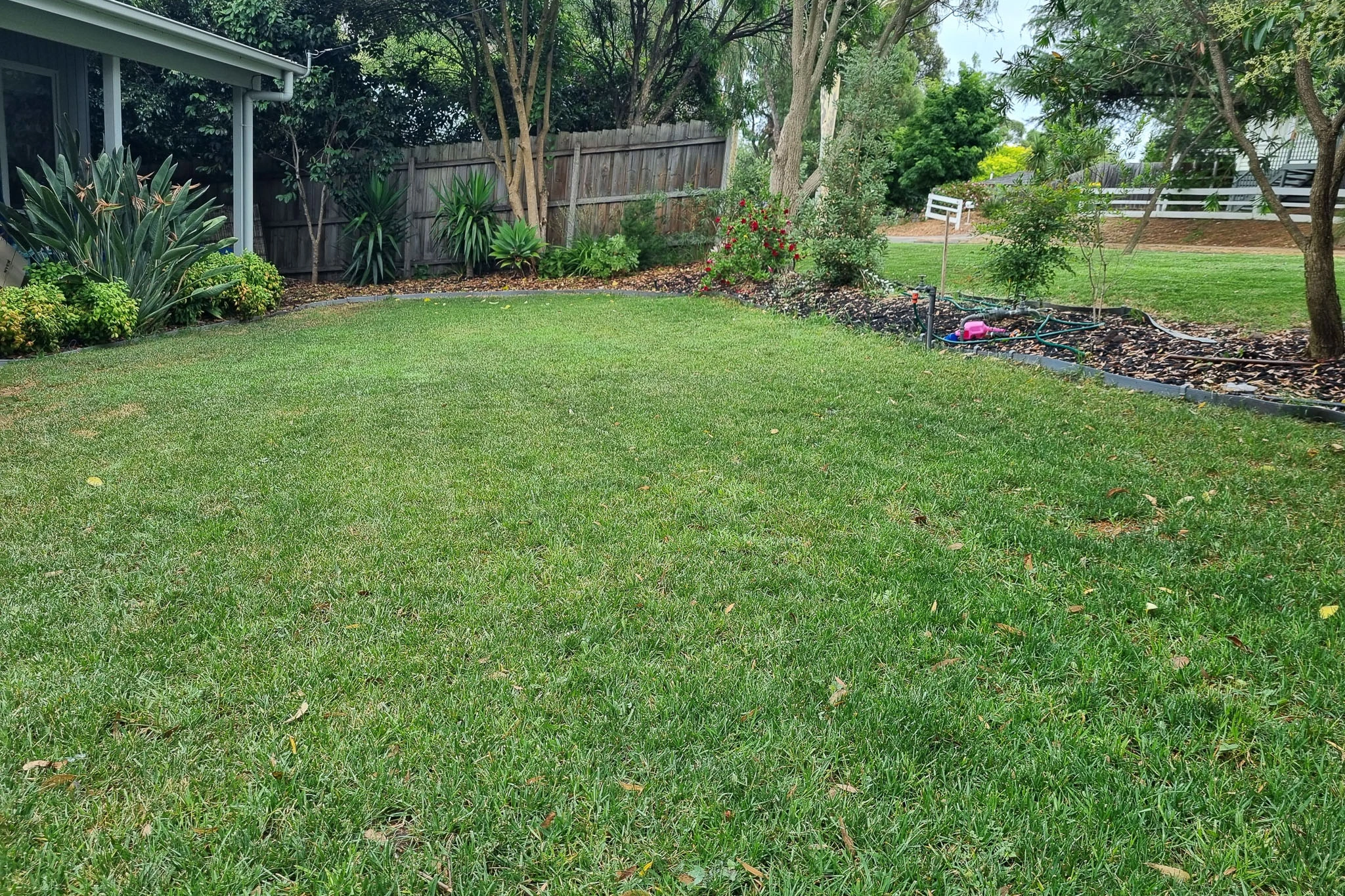 Madwheels-Lawncare-1005.jpg