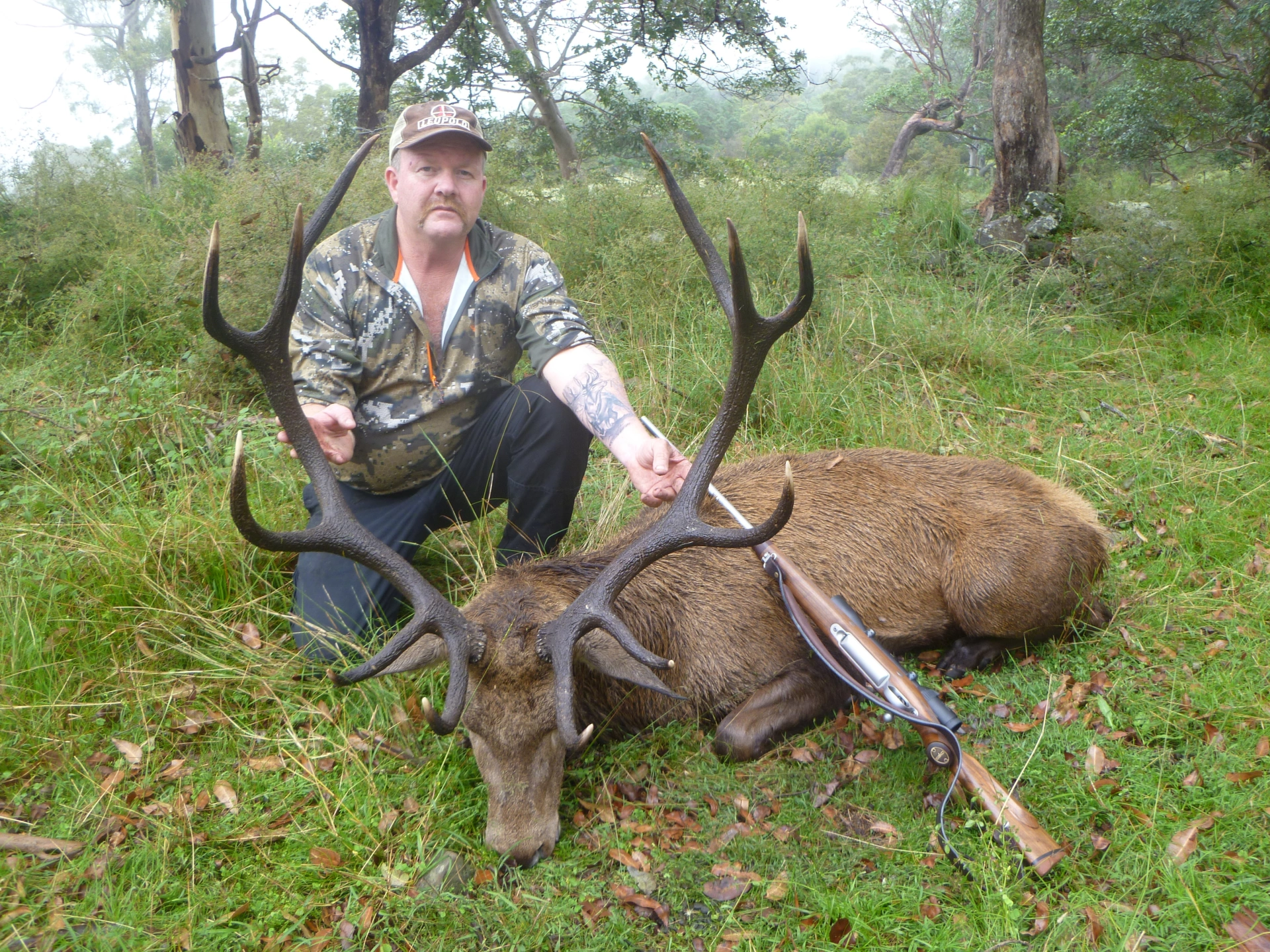 Red Deer Hunt 1.jpeg