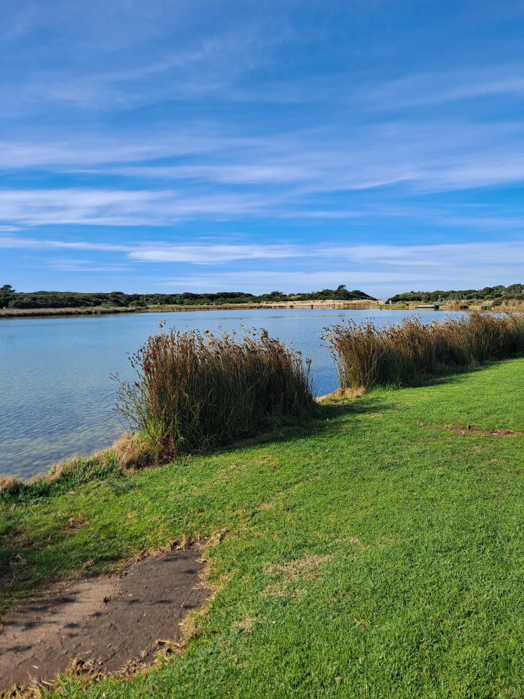 Anglesea web.jpg