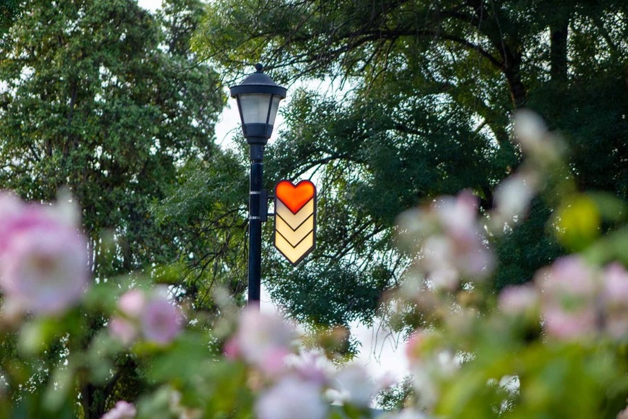 Lamp-heart-foliage-wellingtonsquare.jpg