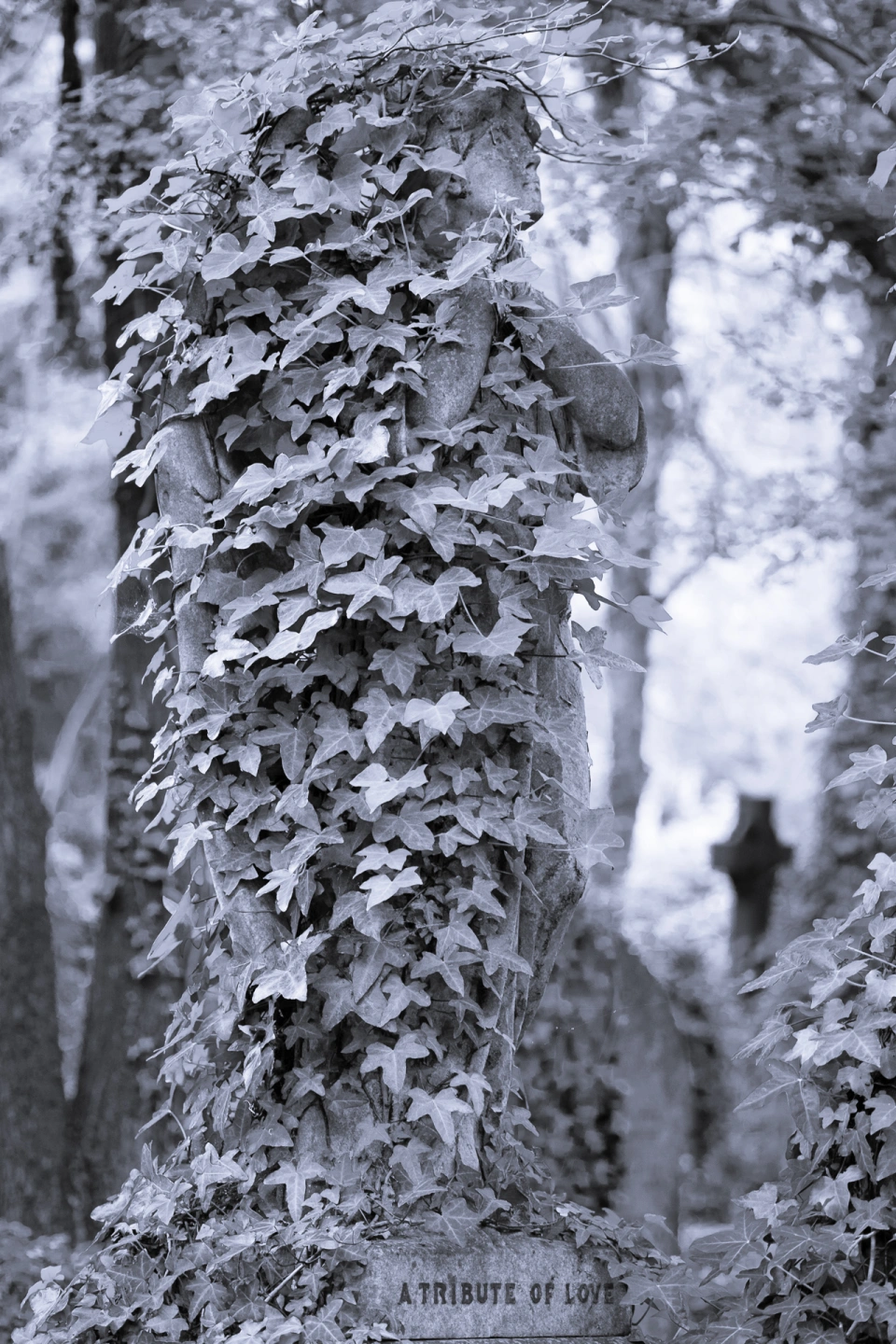 DSCF2790.jpg