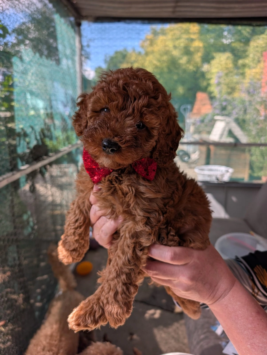 WhatsApp Image 2026-04-07 at 4.03.38 PM3.jpeg