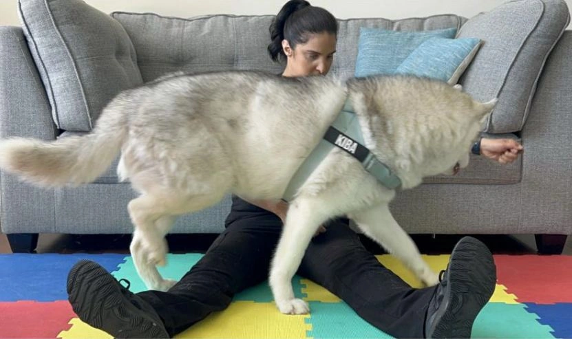 Not sure which exercises your dog needs?