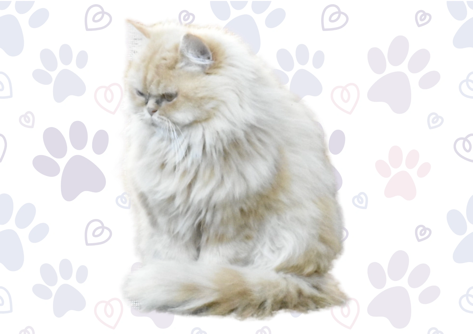 Untitled (29.7 x 21 cm) (17).png