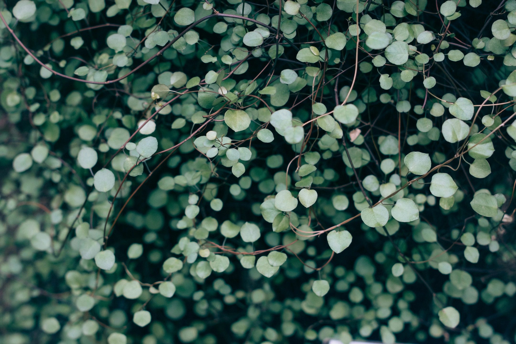 vadim-l-_mgfuATaQnk-unsplash.jpg